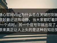 糖心官网vlog为什么总在关键时刻被提起最近这阵动静，当大家都盯着同一个点时，另一个信号早就出现了，原来真正让人上头的是这种后知后觉