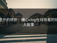 意外的转折：糖心vlog在线观看的惊人故事