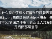 为什么现在还有人盯着别只盯着表面，糖心vlog网页版最新地址比想象中更能挑动情绪这件事，真正让人难受的是后面那层意思