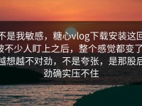 不是我敏感，糖心vlog下载安装这回被不少人盯上之后，整个感觉都变了，越想越不对劲，不是夸张，是那股后劲确实压不住