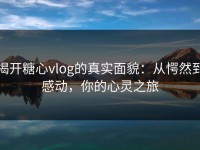 揭开糖心vlog的真实面貌：从愕然到感动，你的心灵之旅