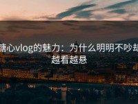 糖心vlog的魅力：为什么明明不吵却越看越悬