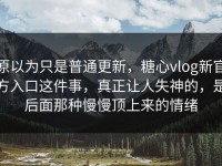 原以为只是普通更新，糖心vlog新官方入口这件事，真正让人失神的，是后面那种慢慢顶上来的情绪