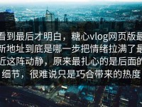 看到最后才明白，糖心vlog网页版最新地址到底是哪一步把情绪拉满了最近这阵动静，原来最扎心的是后面的细节，很难说只是巧合带来的热度