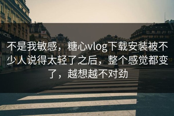 不是我敏感，糖心vlog下载安装被不少人说得太轻了之后，整个感觉都变了，越想越不对劲