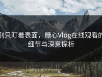 别只盯着表面，糖心Vlog在线观看的细节与深意探析