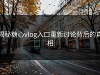 揭秘糖心vlog入口重新讨论背后的真相