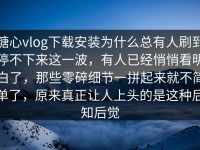 糖心vlog下载安装为什么总有人刷到停不下来这一波，有人已经悄悄看明白了，那些零碎细节一拼起来就不简单了，原来真正让人上头的是这种后知后觉