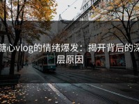 糖心vlog的情绪爆发：揭开背后的深层原因
