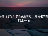 探寻《17c》的隐秘魅力，揭秘被忽略的那一面