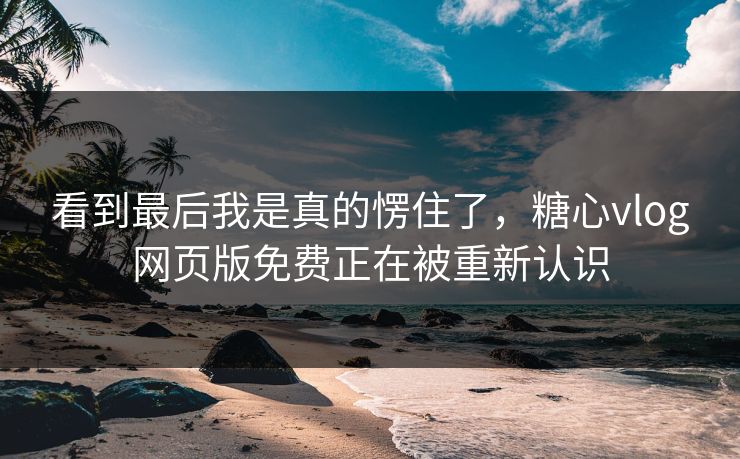 看到最后我是真的愣住了，糖心vlog网页版免费正在被重新认识
