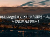 糖心vlog新官方入口突然重磅出击，带你回顾经典瞬间！