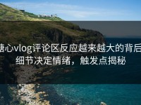 糖心vlog评论区反应越来越大的背后：细节决定情绪，触发点揭秘