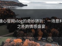 糖心官网vlog的奇妙转折：一场意料之外的情感盛宴