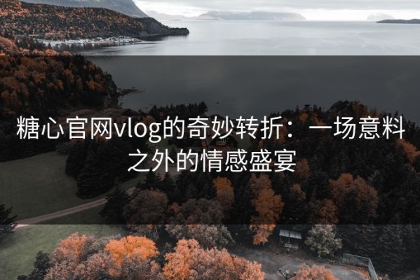 糖心官网vlog的奇妙转折：一场意料之外的情感盛宴