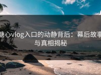糖心vlog入口的动静背后：幕后故事与真相揭秘