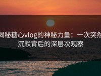揭秘糖心vlog的神秘力量：一次突然沉默背后的深层次观察