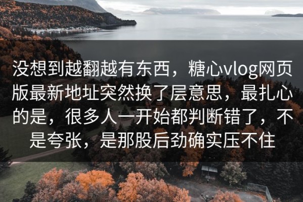 没想到越翻越有东西，糖心vlog网页版最新地址突然换了层意思，最扎心的是，很多人一开始都判断错了，不是夸张，是那股后劲确实压不住