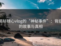 揭秘糖心vlog的“神秘事件”：背后的故事与真相