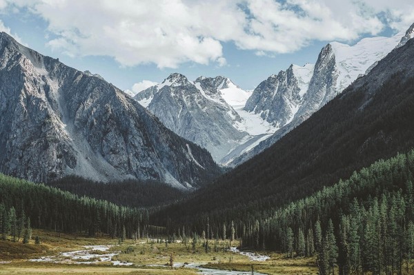 糖心vlog：从下载到情绪顶峰，让你的创作之旅焕然一新