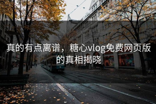 真的有点离谱，糖心vlog免费网页版的真相揭晓