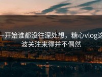 一开始谁都没往深处想，糖心vlog这波关注来得并不偶然