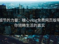 细节的力量：糖心vlog免费网页版带你领略生活的真实