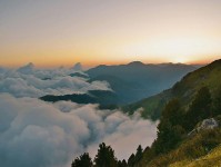 糖心vlog：从下载到情绪顶峰，让你的创作之旅焕然一新