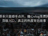 原本只是顺手点开，糖心vlog免费网页版入口，真正的热度背后故事