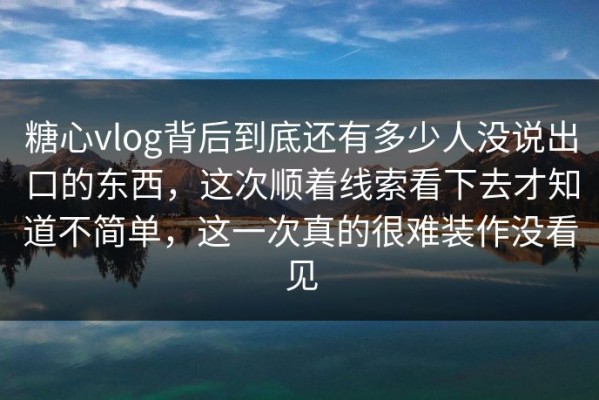 糖心vlog背后到底还有多少人没说出口的东西，这次顺着线索看下去才知道不简单，这一次真的很难装作没看见