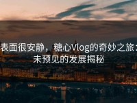 表面很安静，糖心Vlog的奇妙之旅：未预见的发展揭秘