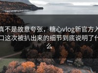 真不是故意夸张，糖心vlog新官方入口这次被扒出来的细节到底说明了什么