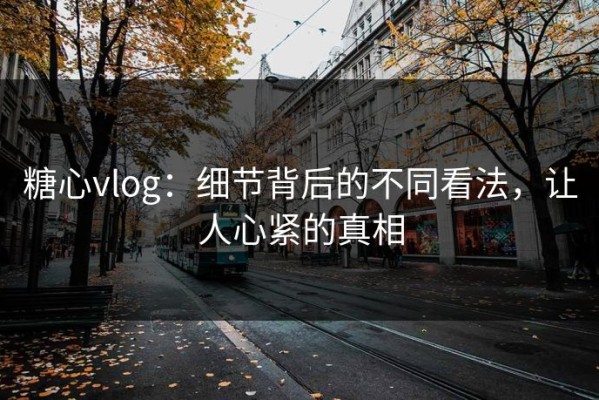 糖心vlog：细节背后的不同看法，让人心紧的真相