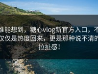 谁能想到，糖心vlog新官方入口，不仅仅是热度回来，更是那种说不清的拉扯感！