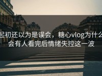 起初还以为是误会，糖心vlog为什么会有人看完后情绪失控这一波