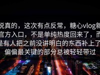 说真的，这次有点反常，糖心vlog新官方入口，不是单纯热度回来了，而是有人把之前没讲明白的东西补上了，偏偏最关键的部分总被轻轻带过