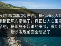 没想到越翻越有东西，糖心vlog入口悄悄把风向带偏了，真正让人心里发紧的，是那些不起眼的细节，看到最后才发现前面全想岔了