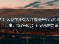 为什么现在还有人盯着刚开始我也没当回事，糖心vlog：补完未解之谜