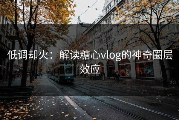 低调却火：解读糖心vlog的神奇圈层效应
