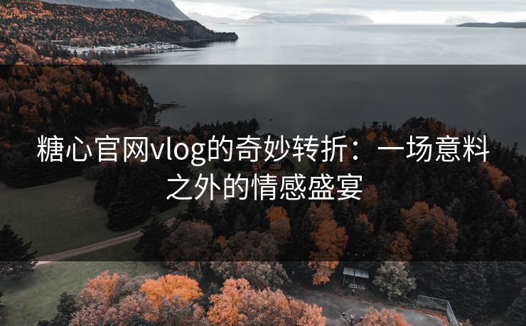 糖心官网vlog的奇妙转折：一场意料之外的情感盛宴