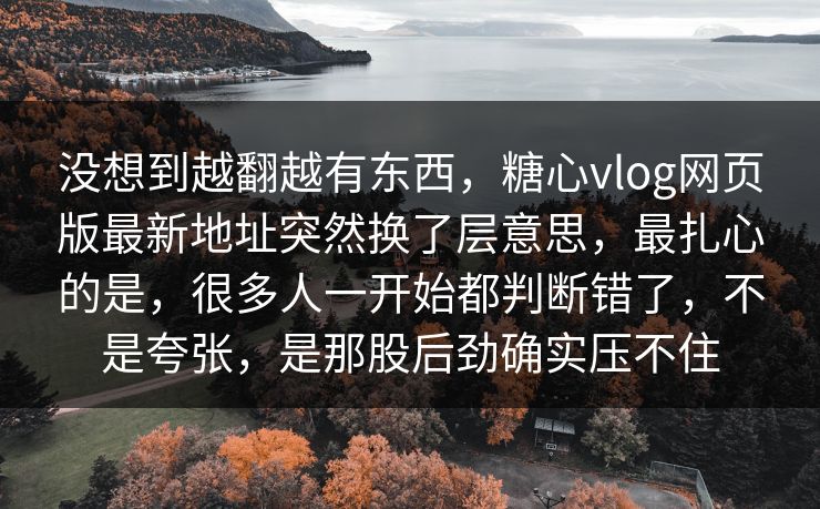 没想到越翻越有东西，糖心vlog网页版最新地址突然换了层意思，最扎心的是，很多人一开始都判断错了，不是夸张，是那股后劲确实压不住
